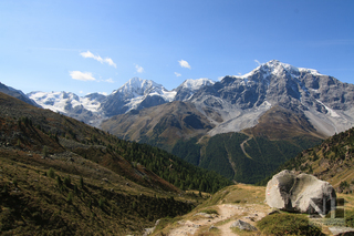 Königsspitze, Zebru und Ortler (von der Düsseldorfer Hütte aus), Südtirol, Italien