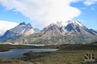 Szene im Torres del Paine, Torres del Paine National Park, Patagonien, Chile