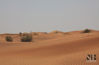 Wüstenlandschaft in den Vereinigten Arabische Emirate (VAE)