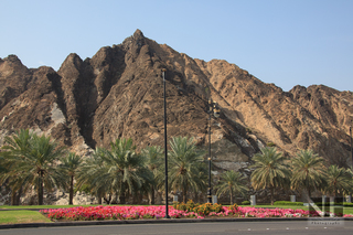 Ausläufer des Hadschar-Gebirges in Muscat, Oman