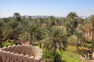 Landschaft in Bahla, Oman
