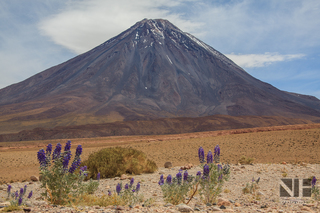 Vulkan Licancabur (Höhe 5.920 m) bei San Pedro de Atacama, Region Antofagasta, Chile